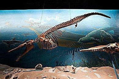 策略冒险游戏《龙女：烈焰之令》 现已在Steam发售